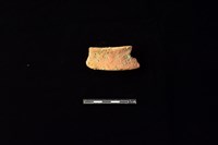 陶片藏品圖，第1張